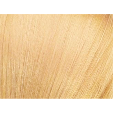 Calvani Hair Building Fibers Σκόνη Πύκνωσης Light Blonde (Ξανθό  Ανοιχτό) 12gr